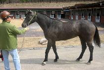 �¸� (SEUNGNI) ����