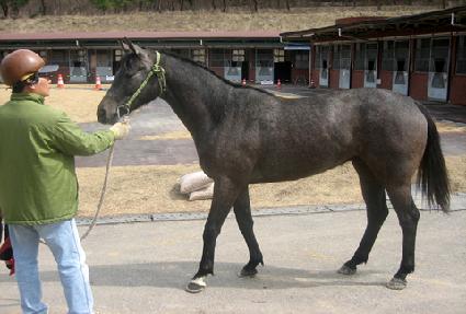 �¸� ����