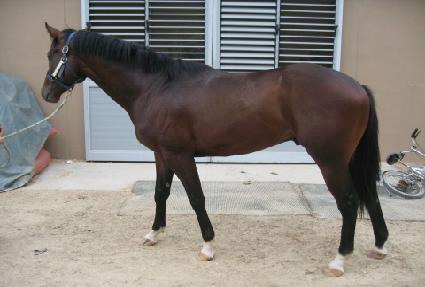 ���Ǵ�Ƽ���� ����