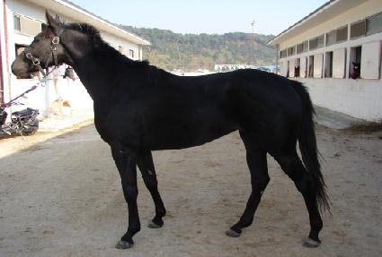 Ÿ��ǬĹ ����