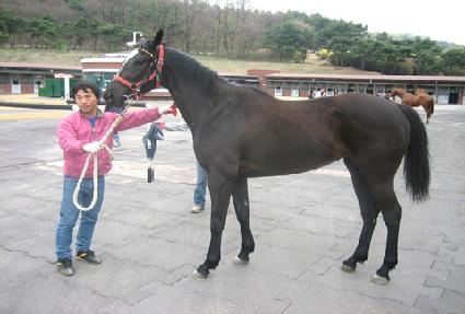 ���޸��� ����