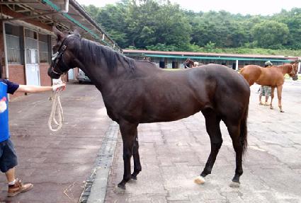 ���ڷ�����Ÿ ����