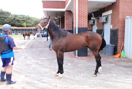 õ����� ����