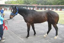 Ŭ�����ְ� (CLEANUP CHOEGANG) ����