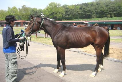 �ʿ��ǰ��� ����