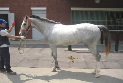 ���縮�� ����