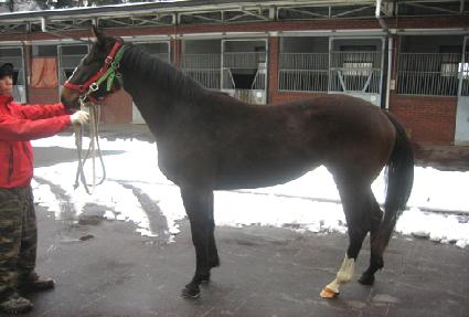 �׷�����Ƽ ����