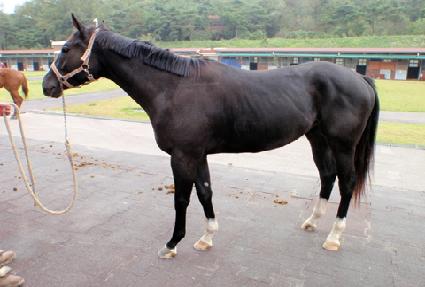 ����� ����