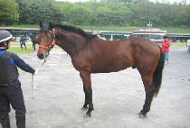 Ÿ������ (TIME TO WIN) ����