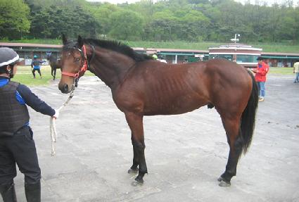 Ÿ������ ����