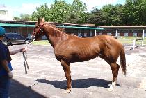 �ϴÿ����� (HANEUREYEOWANG) ����