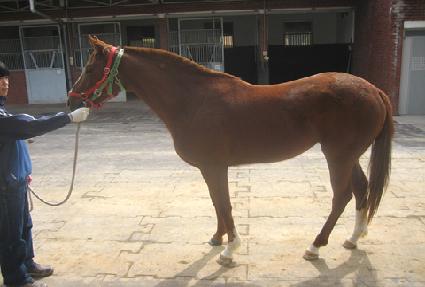 �̹��ǵ� ����