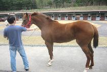 �ǹ����̴� (SILVER LINING) ����