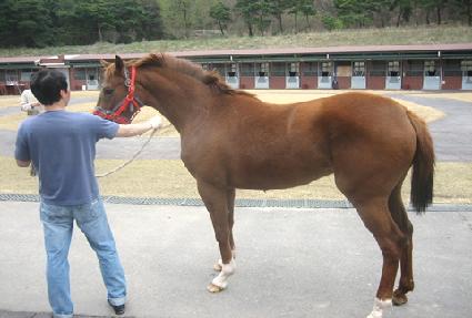 �ǹ����̴� ����