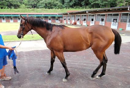 �Ӵ�Ÿ�� ����