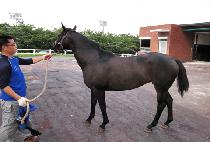 �����尡�� (LEGEND GUARD) ����