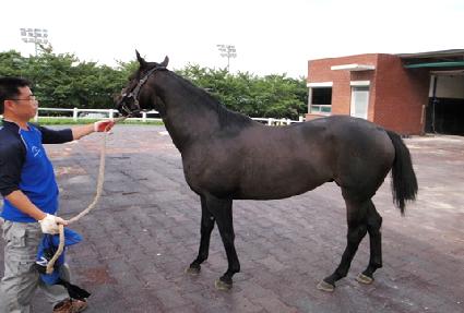 �����尡�� ����