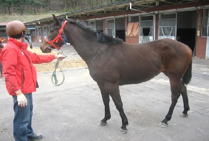 ���п��� ����