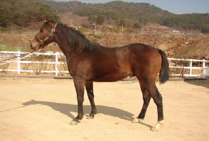 ������� ����