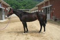 ���屺 (CHOI JANGGUN) ����