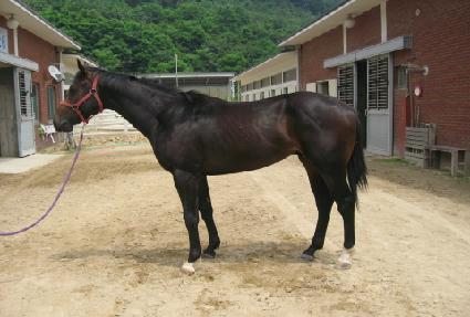 ���屺 ����