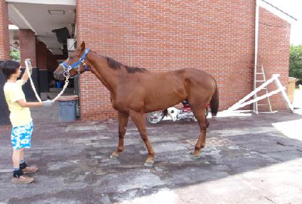 �κ�׷��̽� ����