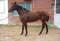 ���� (YUNSEUL) ����