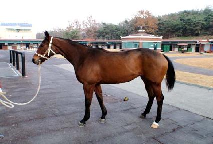 �ݺ��� ����