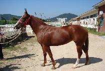 �¿��õ (SEUNGUN BICHEON) ����