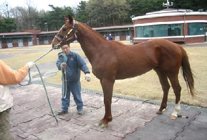 ����޽��� ����