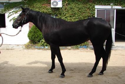 �����ѽ¸� ����