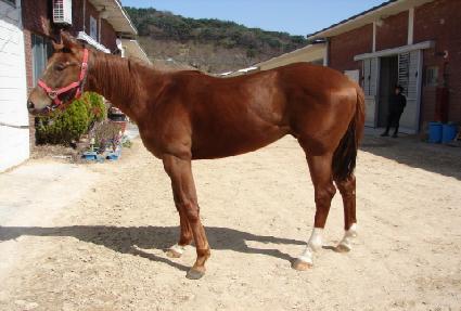 �������� ����