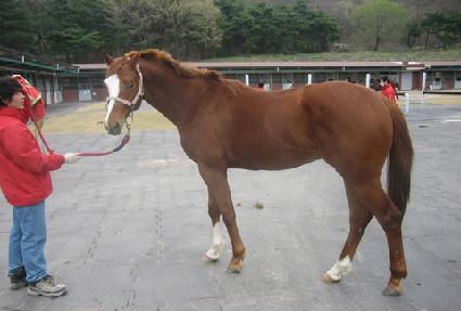 ����� ����