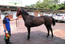 ��������� (LEGEND VISION) ����