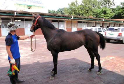 ��������� ����