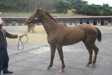 �ָ������ ����