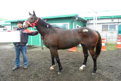 �þ�긱���� ����