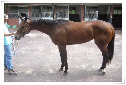 ����Ǯ�� ����