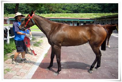 ���н�ī������ ����