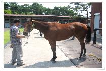 ������½ (YEONGUNG BEONJJEOK) ����