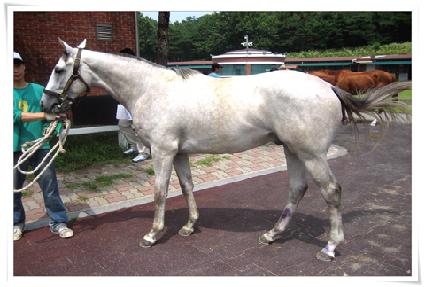 �߸� ����