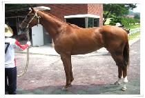 �ö��̿��̽� (FLYACE) ����