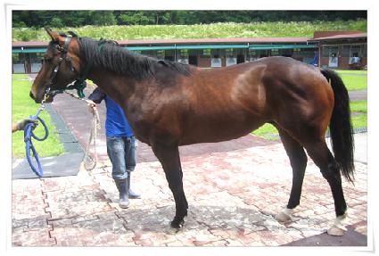 �׸�Ŀ�Ǵ� ����