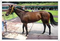 �˷ο�����Ʈ (ALO EXPERT) ����