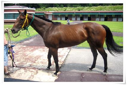 �˷ο�����Ʈ ����