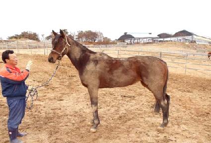 �ϸ���Ʈ�̹��� ����