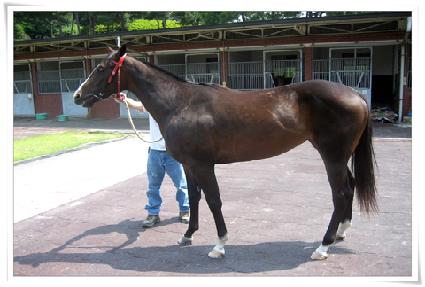 ��ݴ��� ����