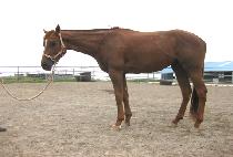 ���α��ָ� (YEOLDUGWANGJURI) ����