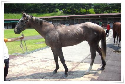 õ����½ ����