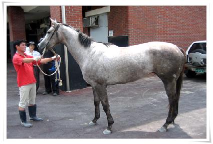 ����õ�� ����